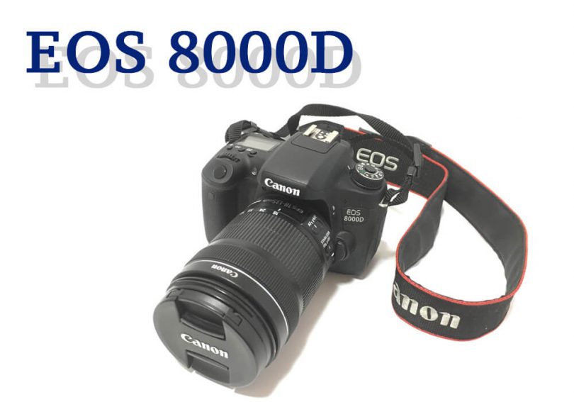 キャノンのEOS8000Dは本格的にカメラを始めたい人におすすめ | KUBOGEN