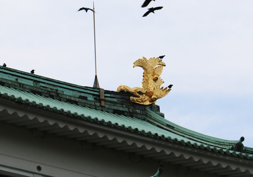 名古屋城の金のシャチ
