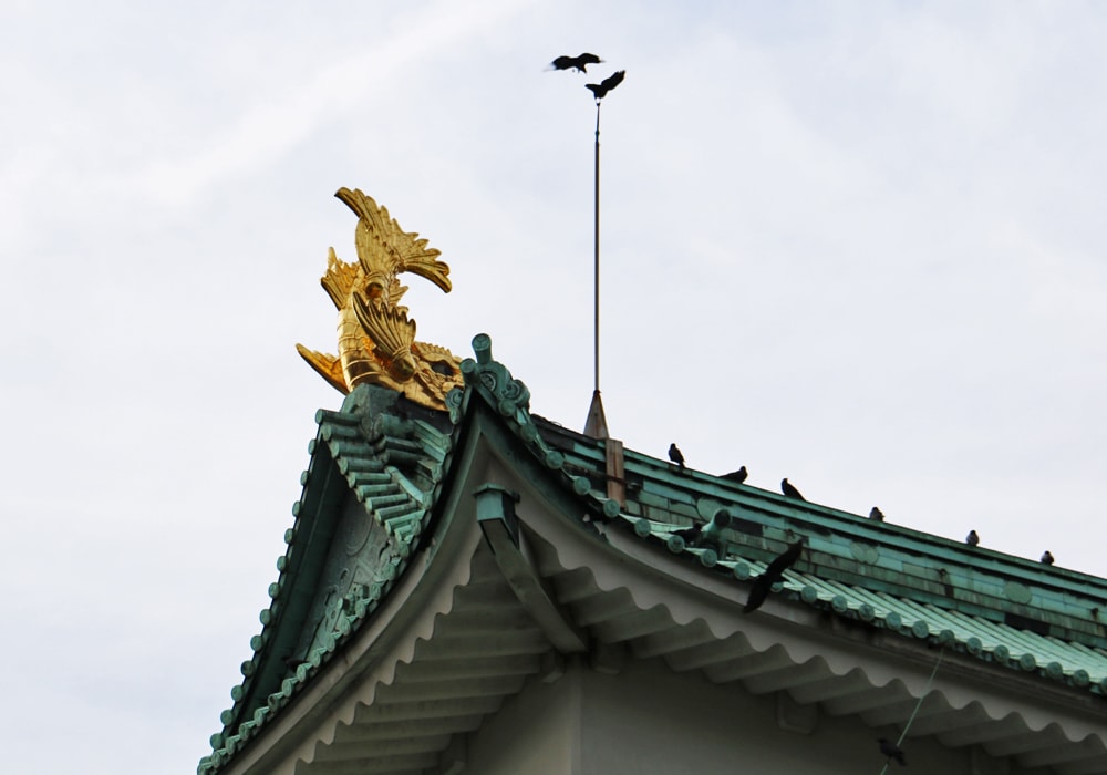 名古屋城の金のシャチ